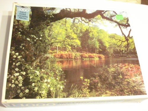 Charleston SC 1000 Pc Jigsaw Panorama