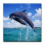 Tile Coaster (Set 4) Dolphins Singing