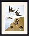 Framed Prints of AUDUBON SWALLOWS, 1827-38. Violet-green Swallow (Tachycineta thalassina) and from Granger Art on Demand