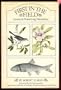 First in the field: America's pioneering naturalists
