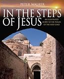 In the steps of Jesus : an illustrated guide to the places of the Holy Land