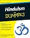 Hinduism For Dummies (For Dummies (Religion & Spirituality)) 51wRtrVtluL. SL75 Why Brahma is the Third Important God in Hindu Religion?