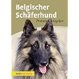 Premium Ratgeber Belgischer Schäferhund