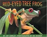 Red-Eyed Tree Frog