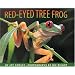 Red-Eyed Tree Frog