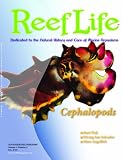Reeflife