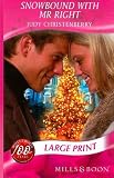 Snowbound With Mr. Right (Harlequin Romance)