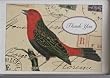 Cavallini Thank You Cards Red Bird Design
