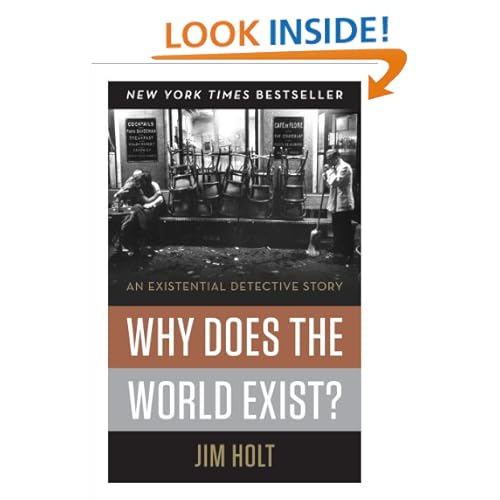 Why Does the World Exist?: An Existential Detective Story