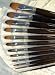 Escoda Acrylic & Watercolor Brushes- Bright #8