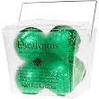 Eucalyptus Aromatherapy Shower SteamersTM 6-pack