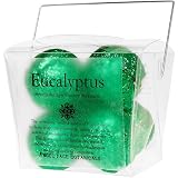 Eucalyptus Aromatherapy Shower SteamersTM 6-pack