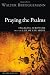 Books : Praying the Psalms: Engaging Scripture and the Life of the Spirit