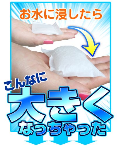 在庫限り【2008年版】クールビビ（COOL BiBi）CB-02 チェック　ホワイト
