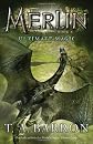 Ultimate Magic: Book 8 (Merlin)