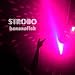 STROBO