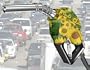 Biodiesel Fuel Station Start Up Business Plan NEW 2008!
