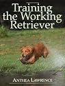 Training the Working Retriever
