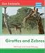 Search : Giraffes and Zebras (Zoo Animals - Macmillan Young Library)