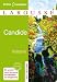 Candide 