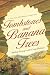 Tombstones and Banana Trees: A True Story of Revolutionary Forgiveness