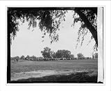 Historic Print (M): Gallery, Pub Links Tournament, 6/29/23