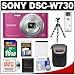 Sony Cyber-Shot DSC-W730 Digital Camera (Pink) with 16GB Card + Battery + Case + Flex Tripod + Accessory Kit