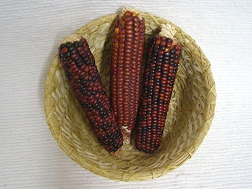 1970s Native American Papago Made Basket with Corn