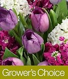 Save on Grower's Choice by Proflowers