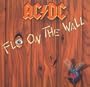 Fly on the Wall
