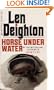 Horse Under Water