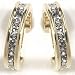Monet Crystal Hoop Earrings