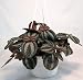 Friendship Plant - Pilea - Easy to Grow House Plant!