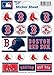 Wincraft MLB Boston Red Sox Vinyl Sticker Sheet, 5