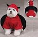 Casual Canine Devil Dog Costume Lrg