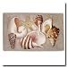 Expressions Sea Breeze Rug Image