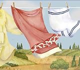 Wallpaper Border Laundry Room Clothesline Blue Edge