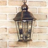 Manchester Collection 16 High Outdoor Hanging Light