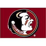 Florida State Seminoles NCAA Tufted Rug (39x59)
