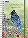 Lang 2017 Birds In The Garden Spiral Engagement Planner, 6 x 9 inches (17991011105)