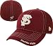 Florida State Seminoles 39THIRTY 'Spear Logo' Neo Stretch Fit Hat