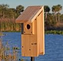 The Backyard Bird Company Bluebird House with Predator Guard