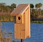 Stovall 2H Bluebird House