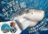美しき捕食者 サメ図鑑
