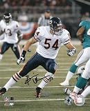Brian Urlacher Chicago Bears -Action vs. Dolphins - Autographed 8x10 Photograph