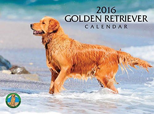 2016 Golden Retrievers Calendar