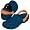 Illinois Navy/Orange