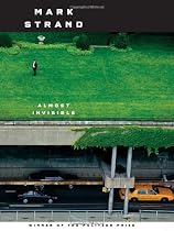 Almost Invisible: Poems