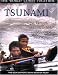 Tsunami: Hope, Heroes, and Incredible Stories of Survival (The World Comes Together)