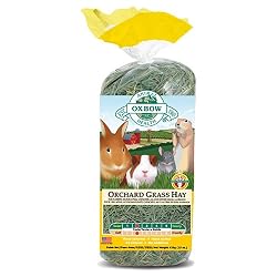 Oxbow Orchard Grass Hay
